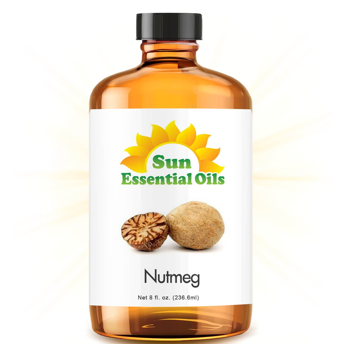 Nutmeg Essential Oil (Huge 8oz Bottle) Bulk Nutmeg Oil 8 Ounce