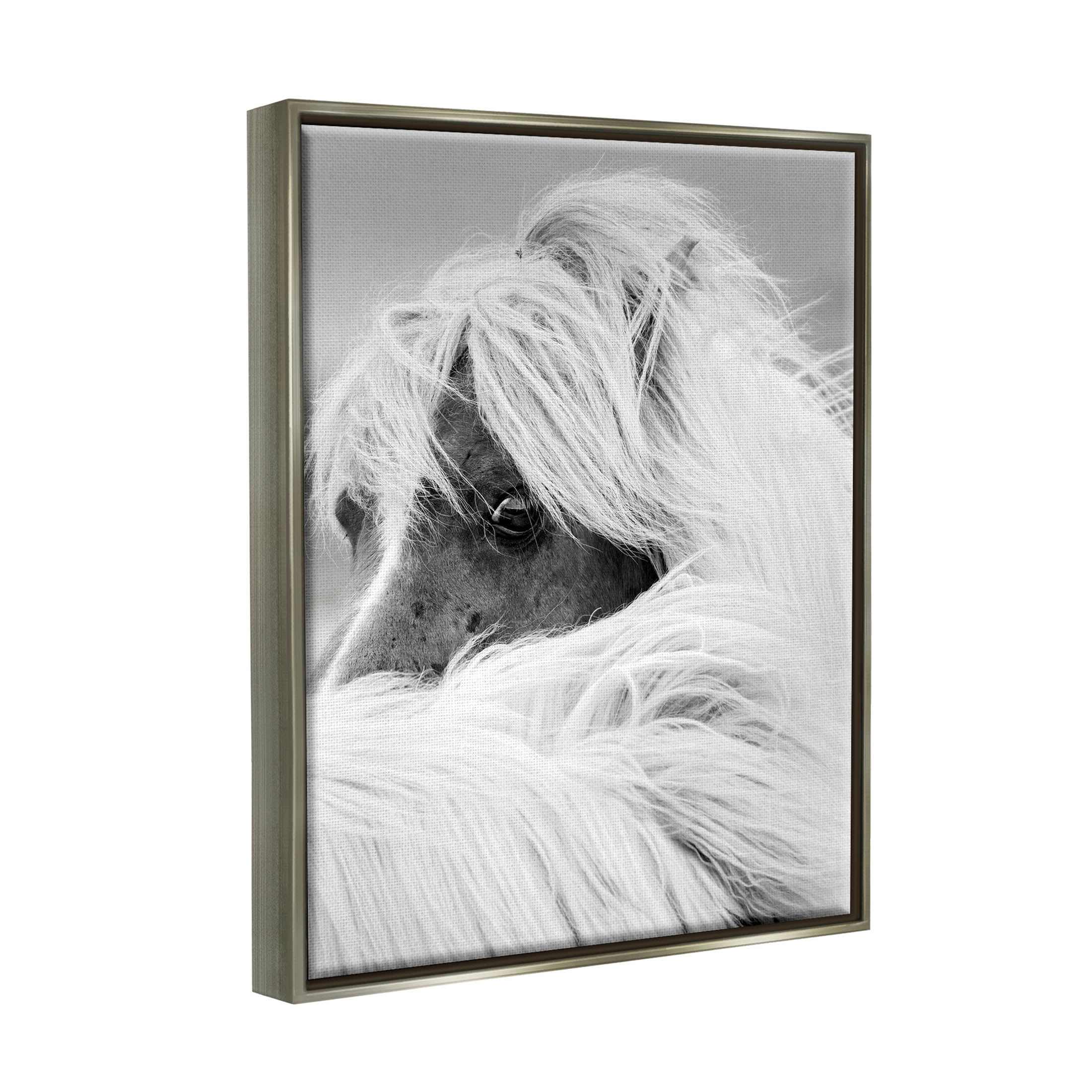 Horse Gazing Windblown Mane Animals & Insects Photograph Luster Gray Framed Art Print Wall Art