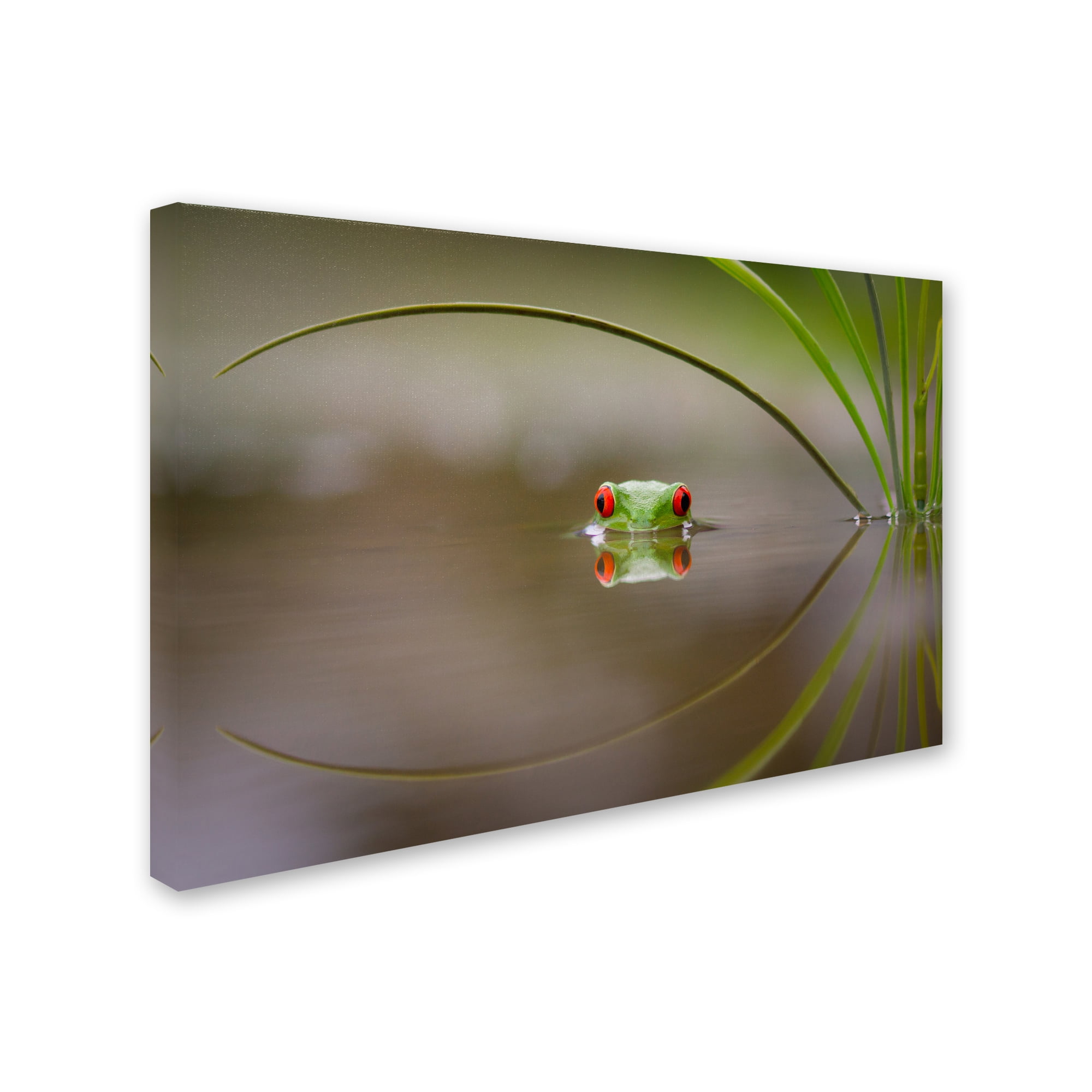 Trademark Fine Art 'Beauty Of Reflection' Canvas Art by Kutub Uddin