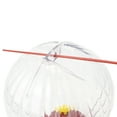 thumbnail image 3 of Perky-Pet Fluted Balloon Plastic Hummingbird Feeder – 32 oz, 3 of 9