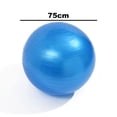 thumbnail image 2 of Total Body Balance Ball Kit - Includes Anti-Burst Stability Exercise Yoga Ball, Air Pump, 2 of 5