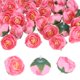 thumbnail image 1 of Uxcell Paquete de 50 Cabezas de Camelia Artificial, Cabeza de Camelia de Seda Falsa de 1.3 Pulgadas para Boda/Ramo/Pared de Flores [Rosa, 3.5cm], 1 of 7
