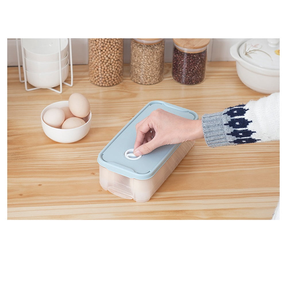 Egg Storage Box with Lid, Dual-layer Fridge Preservation Container, Airtight Food Organizer for Refrigerator Fresh-keeping, Light Blue Plastic Holder for Kitchen Use