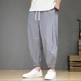 thumbnail image 1 of Mens Loose Straight Summer Casual Pants Mens Breathable Pants, 1 of 7