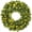 Green White Lights, variant on Casafield 48 Inch Pre-Lit Artificial Christmas Wreath with LED Lights Indoor/Outdoor Holiday Décor