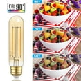 thumbnail image 6 of TORCHSTAR 12 Pack Dimmable Vintage Edison Bulbs, UL Listed T10 LED Bulb, Filament Light Bulb, 4.5W, 400lm, E26 Base, CRI90, 2200K&nbsp;Amber&nbsp;Warm, 6 of 7