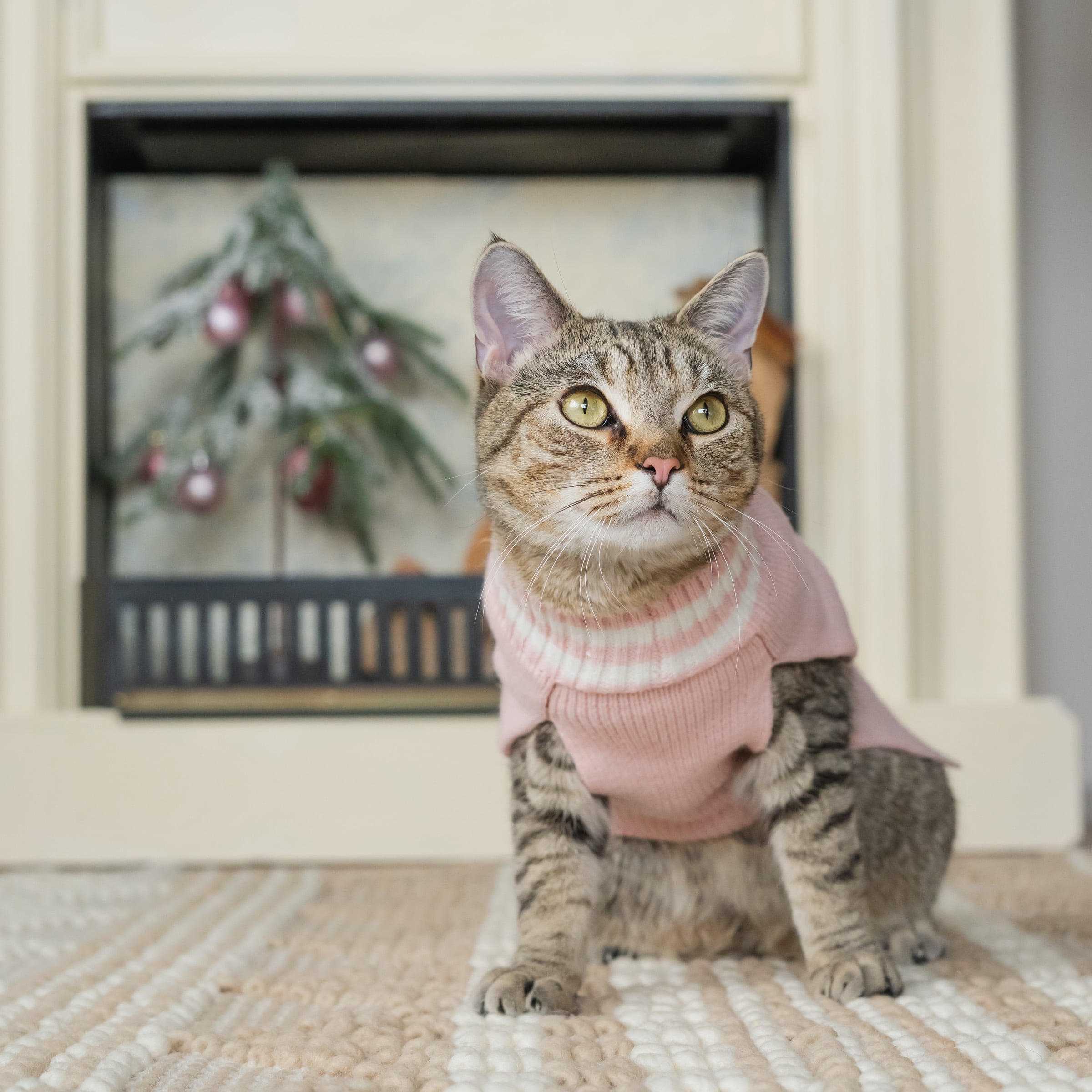 Vibrant Life, Dog and Cat Clothes, Fawn Pet Sweater, Pink, XS