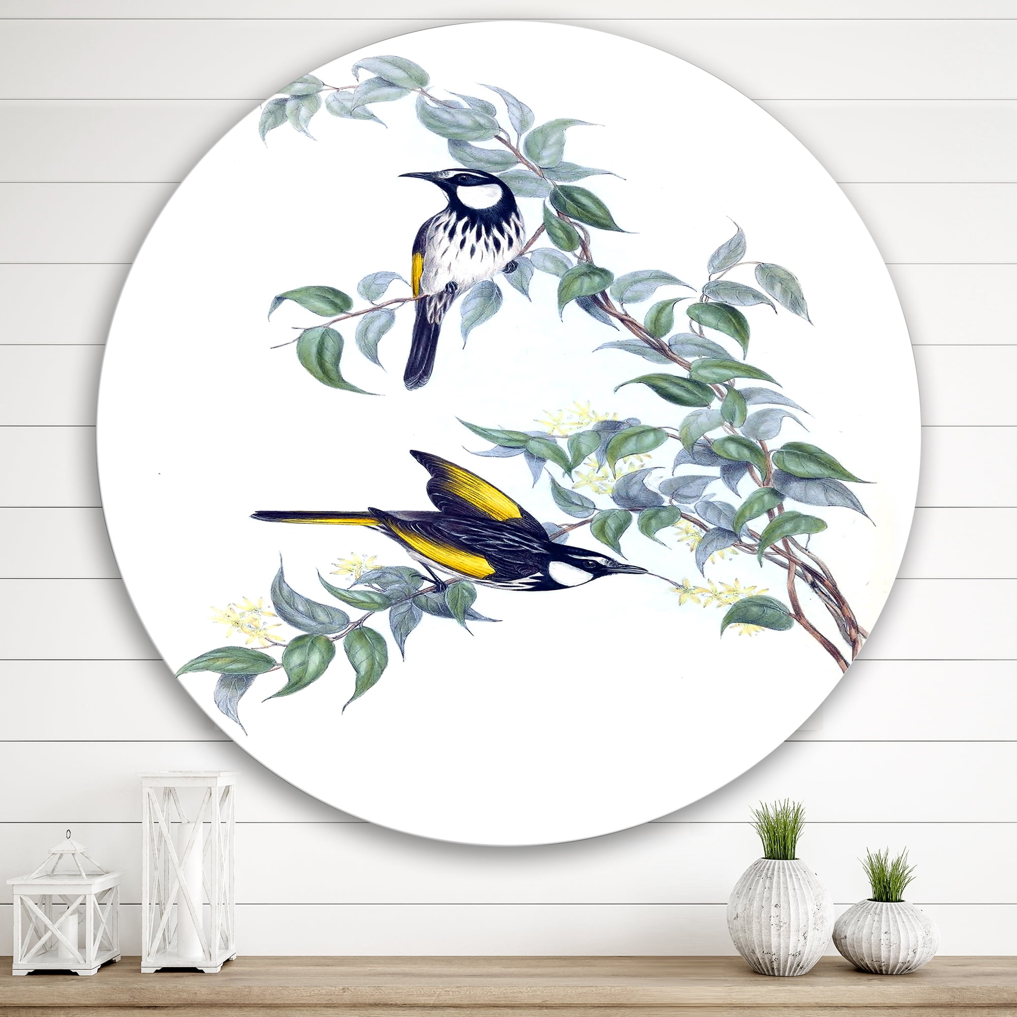 Designart 'Ancient Australian Birds On A Branch' Traditional Circle Metal Wall Art 36x36 - Disc of 36