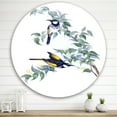 thumbnail image 2 of Designart 'Ancient Australian Birds On A Branch' Traditional Circle Metal Wall Art 29x29 - Disc of 29, 2 of 5