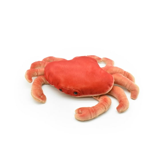 Dungeness Crab, Realistic, Lifelike, Stuffed, Ocean, Beach, Soft, Toy, Educational, Animal, Kids, Gift, Very Nice Plush Animal 12" F2425 BB52