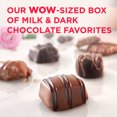 thumbnail image 3 of Russell Stover Valentine's Day WOW! Assorted Milk & Dark Chocolate Candy Gift Box, 20 oz., 3 of 8