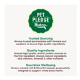 thumbnail image 4 of Nutro Wholesome Essentials ™ Kitten Dry Cat Food - Natural, Chicken & Brown Rice, 3 Lb, 4 of 7