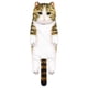 thumbnail image 1 of Puntoco Cats Hand towel Realistic Circular Face Cats Cute Simulation Orange Cats Microfiber Printed Thick towel, 1 of 1