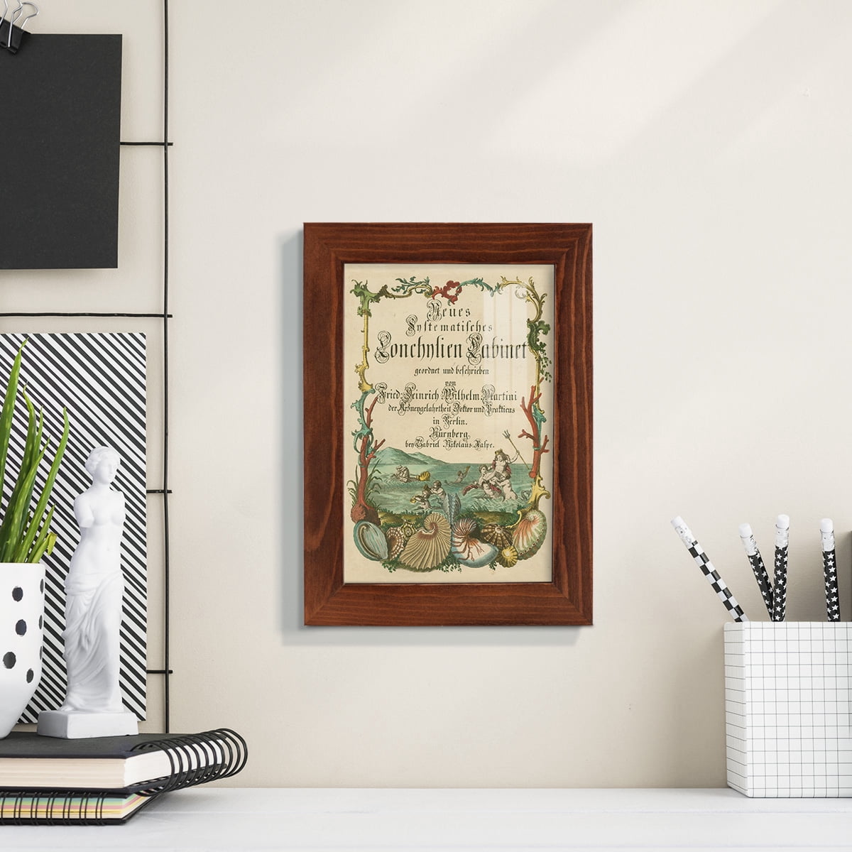 Cabinet of Conchology -Framed Print w/glass-Chestnut