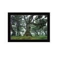 thumbnail image 2 of Enchanted Forest I by Martin Podt Print Wall Art Wood Multi-Color, 2 of 4