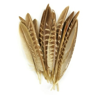 Pheasant Feathers 4g-Natural 