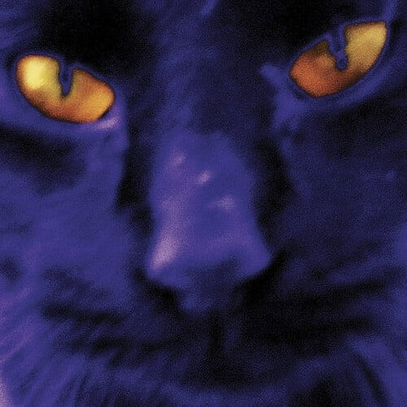 David Kilgour and the Heavy Eights - Bobbie's A Girl - Music & Performance - Vinyl