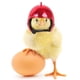 thumbnail image 4 of Casco Protector de cabeza de pájaro pequeño para mascotas, gorros de pato, aves de corral, suministros para mascotas, recién llegado, 1 piezas, 4 of 4