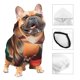 thumbnail image 3 of Fotbe Colorful Leaf Chihuahua Sudadera con Estampado para Perros Pequeños – Suéter con Capucha para Mascotas, Tela Suave de Forro Polar con Bolsillo-Medium, 3 of 7