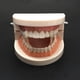 thumbnail image 5 of Dientes Falsos Horror Resina Colmillos Cosplay Fiesta Disfraz sonducket HA045736-01, 5 of 6