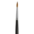 thumbnail image 1 of CEPILLO DIXON TIC/PRINCETON DIXON TIC/PRINCETON BRUSH  PB7050R12, 1 of 1