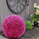 thumbnail image 4 of ¡Ofertas de la semana! 2 bolas topiarias artificiales de boj sintético, redondas, para jardín, decoración de interiores y exteriores, para porche, primavera, hogar, boda, balcón, jardín., 4 of 5