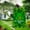 B, variant on Guozer St. Patrick's Day Bannerss, St. Patrick's Day Decor for Home, Shamrock Hanging Flag for Party Home Birthday