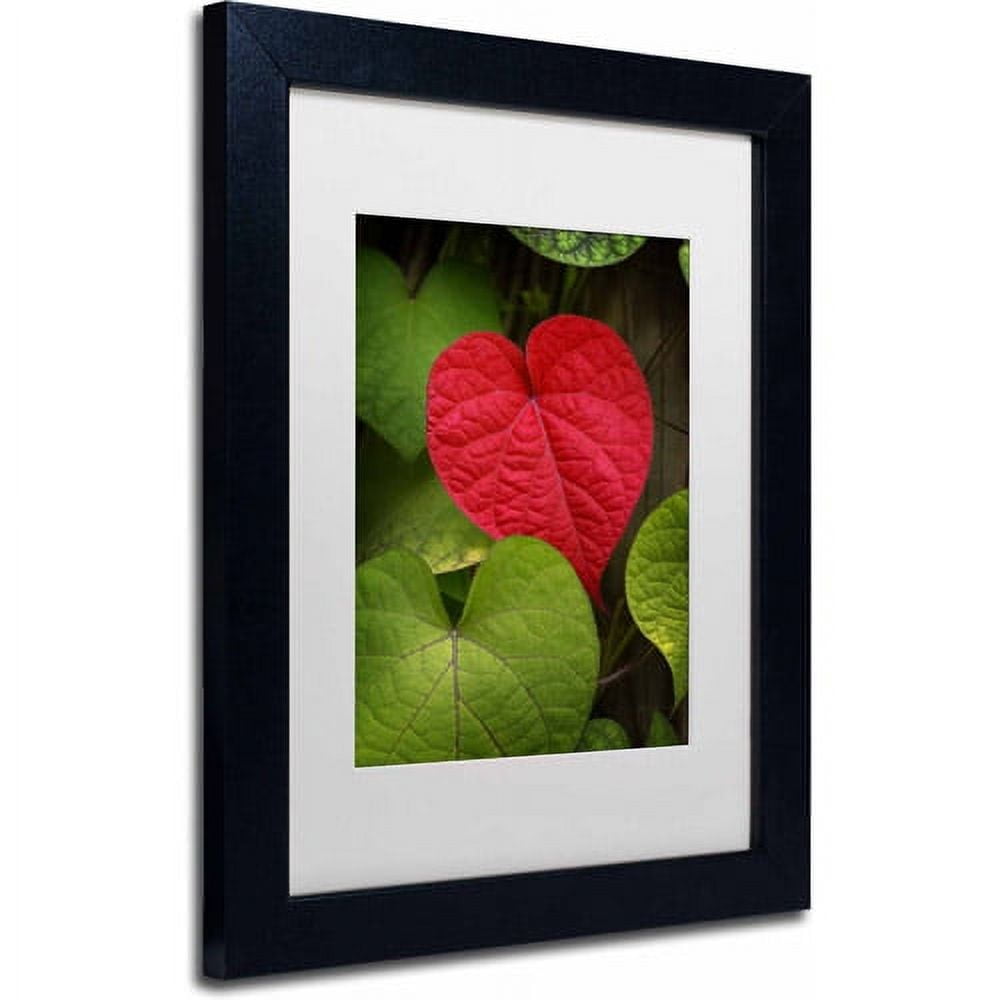 Trademark Fine Art "Heart to Take" Canvas Art by Philippe Sainte-Laudy, White Matte, Black Frame