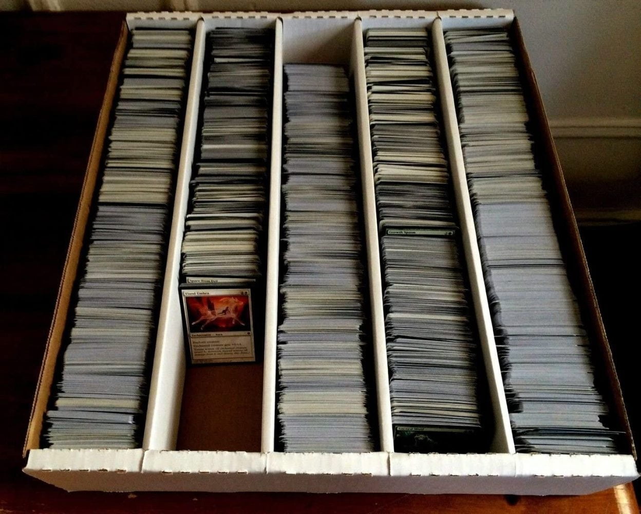 Huge 4000 Card Magic the Gathering Card Collection - Commons and Uncommons lot collection commander