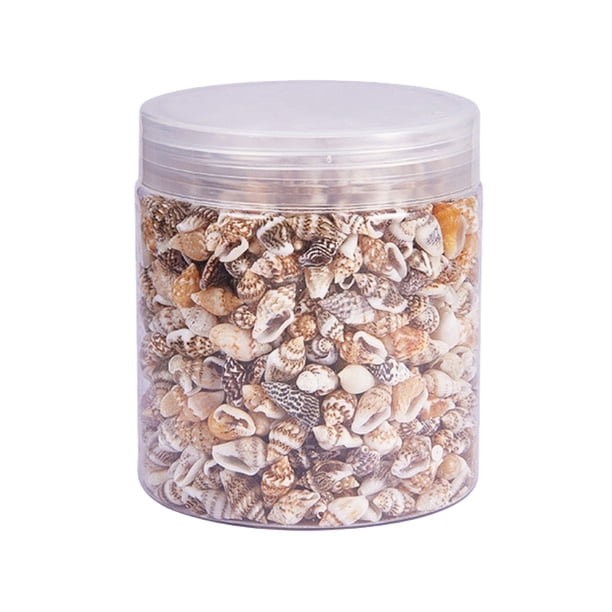 EeaseMX Cuentas de concha natural, conchas marinas sin agujeros, accesorios para hacer joyas artesanales (aprox. 1300-1500 por caja)