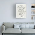 thumbnail image 4 of Canvas Wall Art - Jean Plout 'Botanical Studies on Paper A' Wall Art for Living Room, Bedroom, or Office Décor by Trademark Fine Art - 24 x 32 Inches, 4 of 4