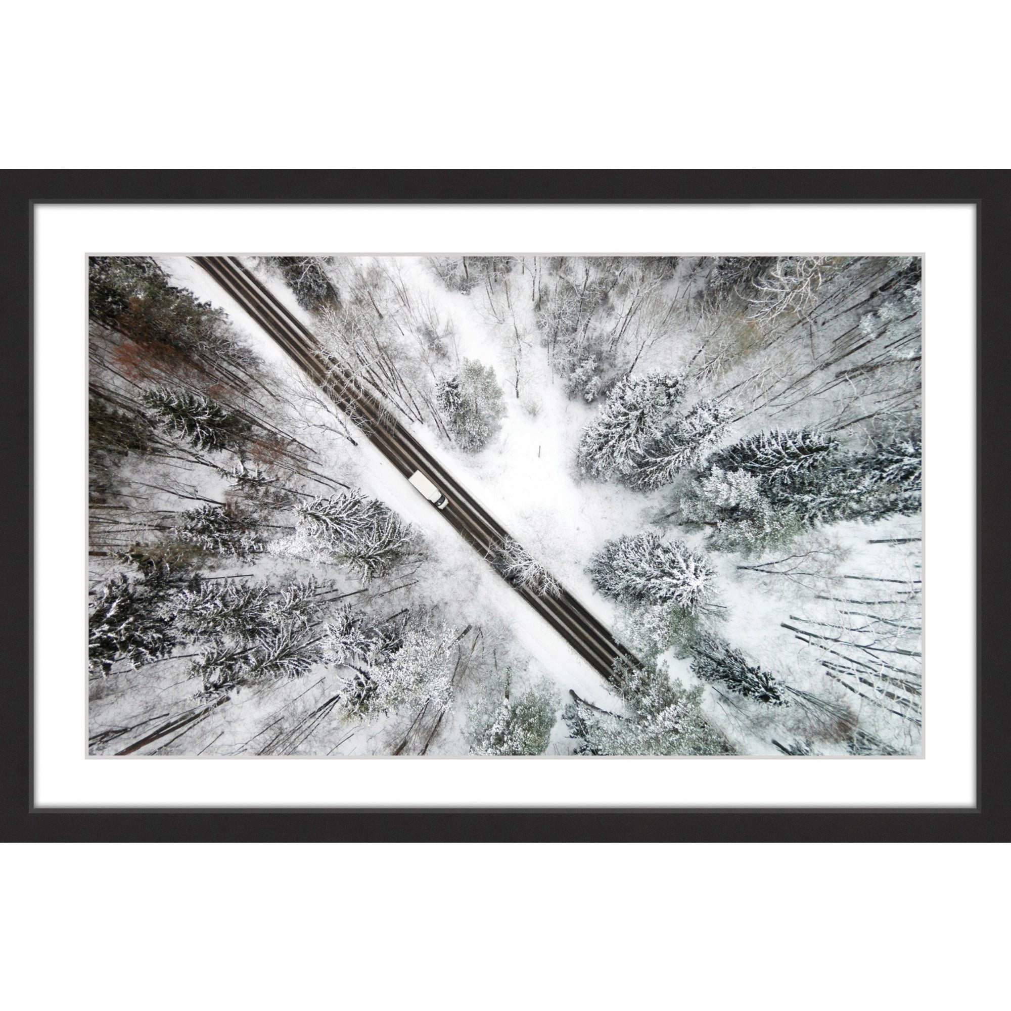 Marmont Hill 'Icy Forest' Framed Photographic Print