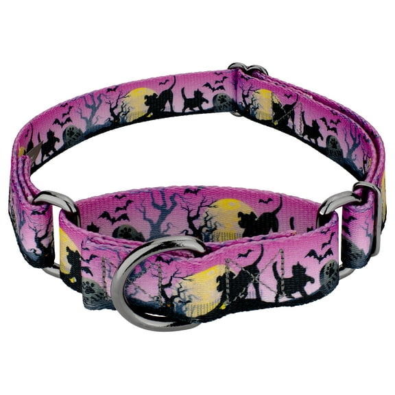Country Brook Petz® Graveyard Gunmetal Martingale Dog Collar, Small