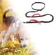 thumbnail image 4 of Correa de perro portátil correa de mascota de cinturo absorbente de golpes reflectante para senderismo cadena de perro rojo Colco correa de cintura para mascotas, 4 of 7