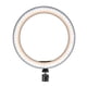 thumbnail image 1 of 12 " de luz Selfie con soporte de trípode y soporte para teléfono para transmisión /maquillaje regulable Led Cámara de belleza luz Establecer F Soledad trípode de luz de anillo de soporte de luz, 1 of 6