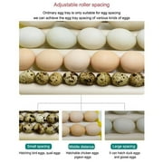 Egg Incubator, 12V Automatic Egg 42/56 Eggs Poultry Hatching with Egg Turning for Chickens Ducks Birds Quail 56Eggs 13Rods