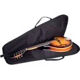 thumbnail image 5 of Protec Mandolin Standard Gig Bag with Backpack Straps, 5 of 5