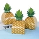 thumbnail image 2 of 50 Piezas Caja de Galletas de Caramelo de Piña Caja de Embalaje de Regalo de Fiesta Hawaiana Bolsa Luau Decoración de Boda de Cumpleaños de Verano, 2 of 5