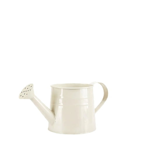 ACDANC White Watering Can Metal - 1 Gallon Metal Watering Can with Removable Spout for Outdoor Indoor Plants,Lawn & Garden Irrigation Tool