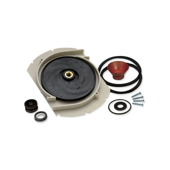 Flotec Kit de Remplacement pour Pompe à Eau Modèle 3415P avec Accessoires