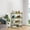 Green, variant on RYDCOT Four Layer Bathroom Rack Kitchen Rack, Multi Layer Storage Rack Desktop Storage Rack, Suitable f or Bathroom Kitchen Living Room (1Pcs)