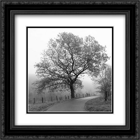 206 Matt - Foggy Afternoon 2x Matted 20x20 Black Ornate Framed Art Print by Szilagyi, Ily