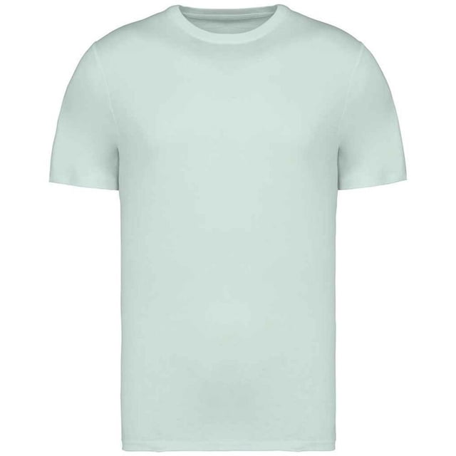 Native Spirit Adult Heavyweight Slim T-Shirt