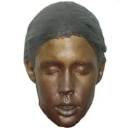 Face Casting Kit - by ArtMolds - Create Plaster Cast of Face