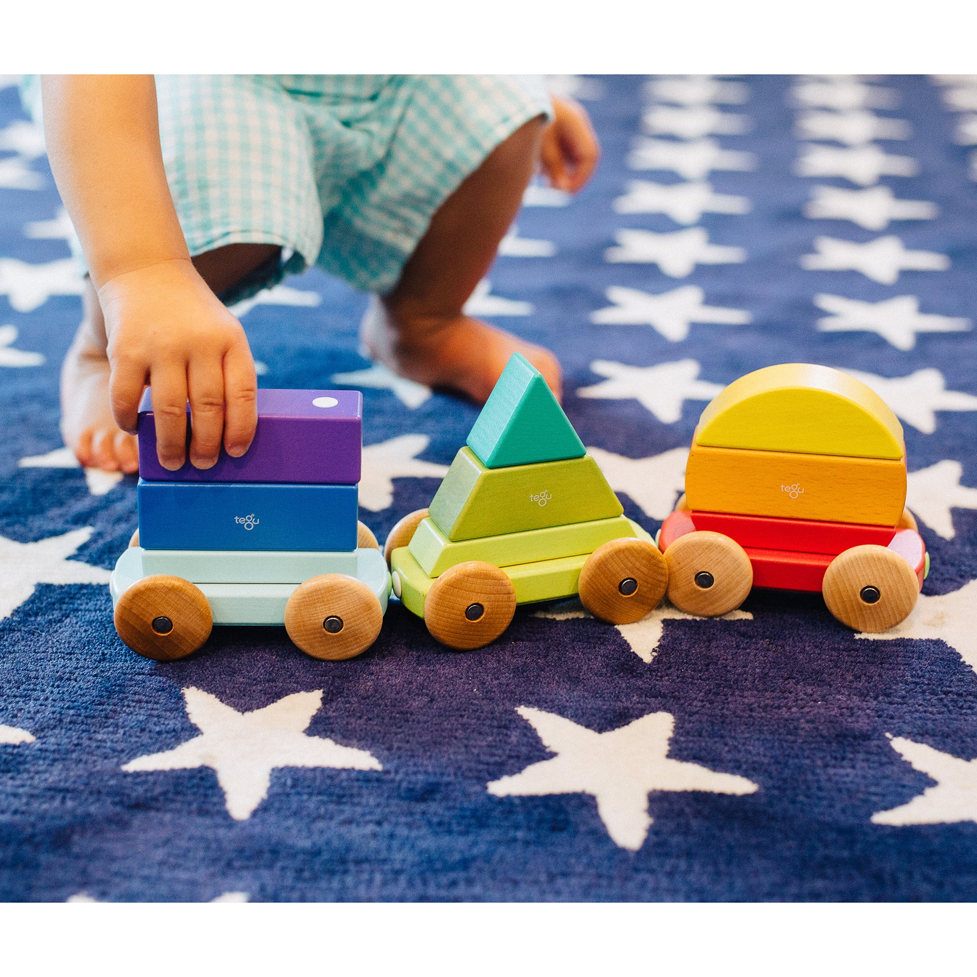 tegu magnetic shape train