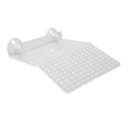 Baignoire Pour Reptiles, Bac De Bain Piscine Tortues