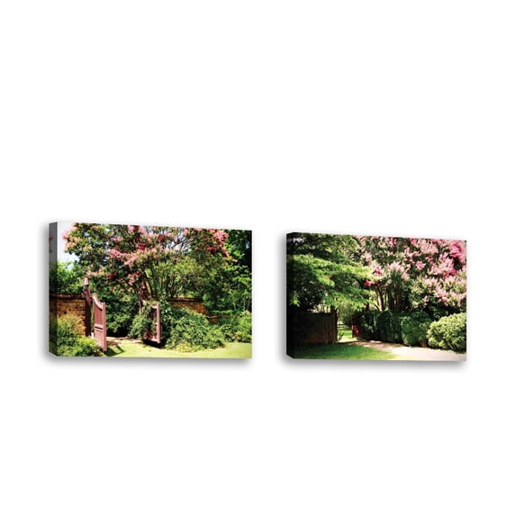 Set of 2 - Crepe Myrtle II - Contemporary Fine Art Giclee on Canvas Gallery Wrap - wall décor - Art painting - 34 x 23 Inch - Ready to Hang