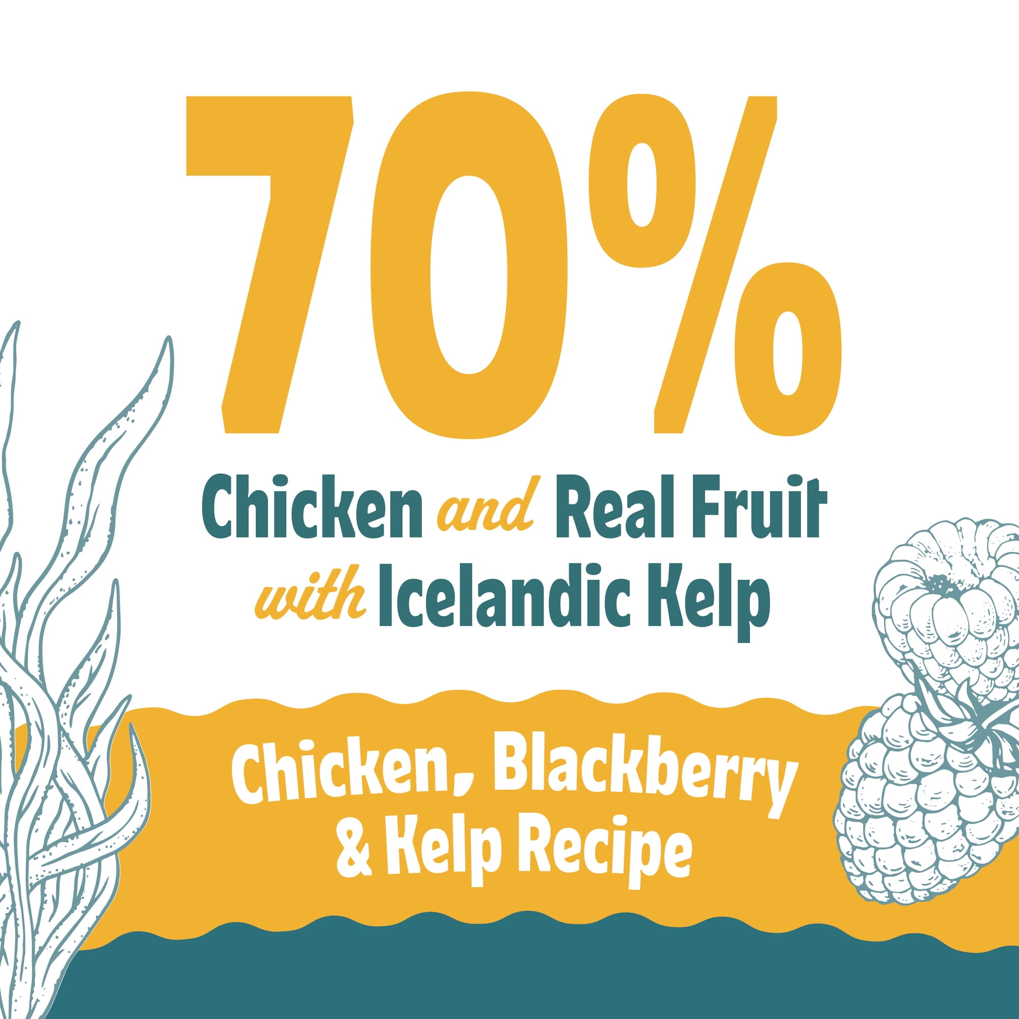 Icelandic+ Soft & Chewy Bites - Chicken, Blackberry & Kelp - 1.8oz Cat Treats, 70% Meat & Fruit, Air-Dried, Limited Ingredients, Pet Snack, Grain Free
