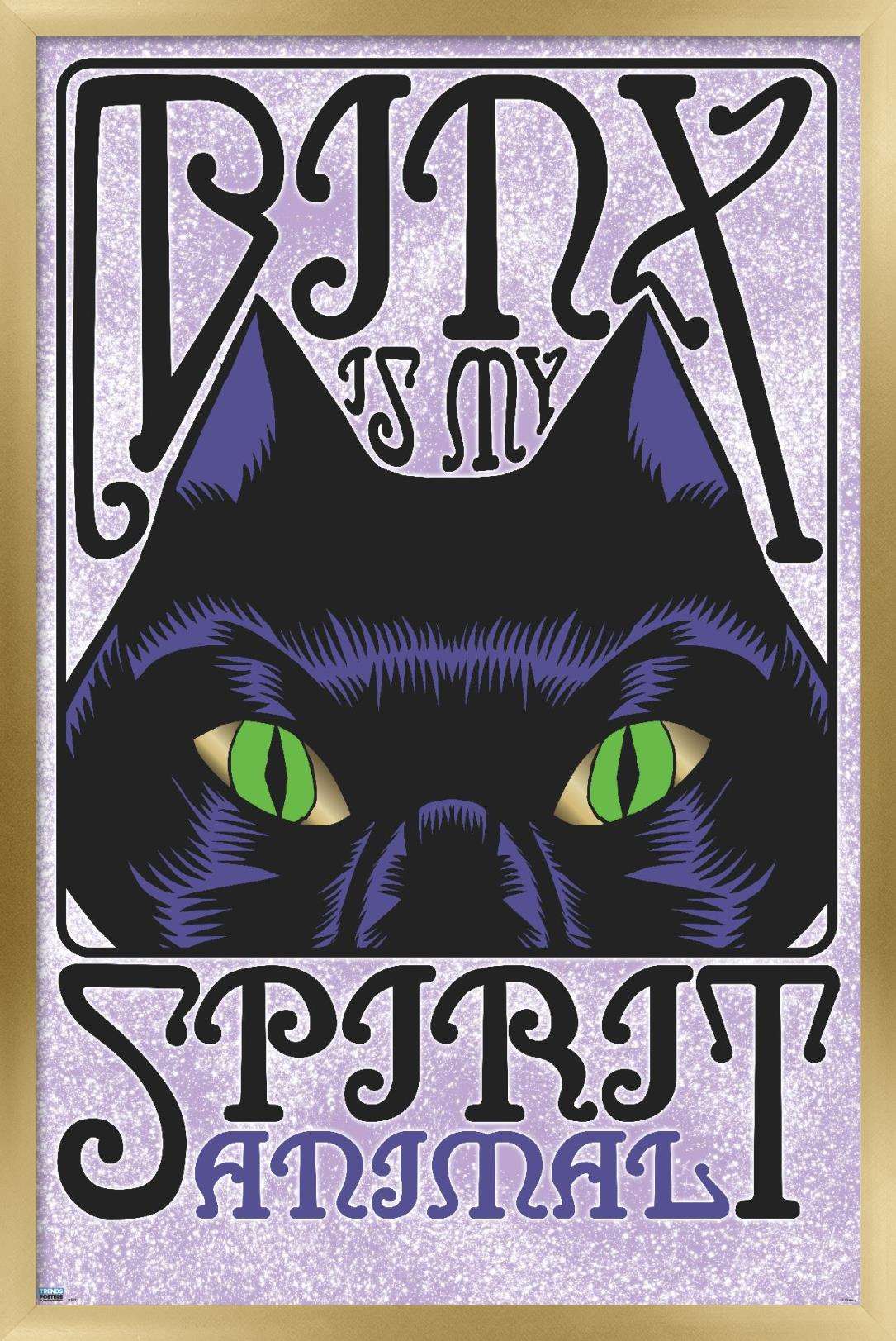 Disney Hocus Pocus - Binx Wall Poster 