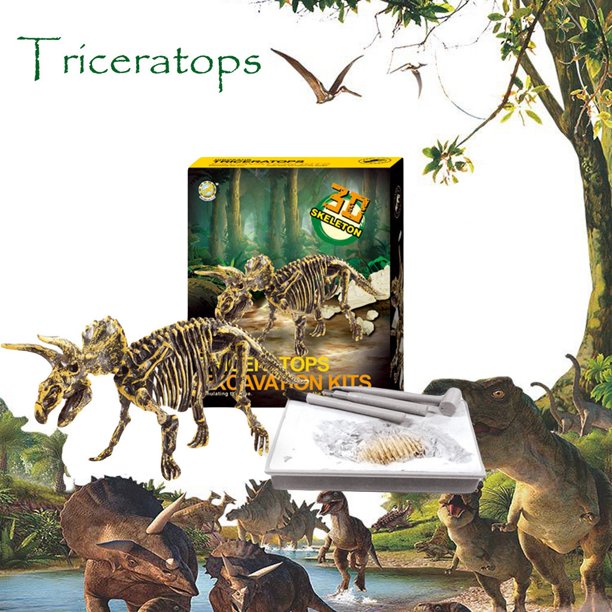 dinosaur fossil sandbox